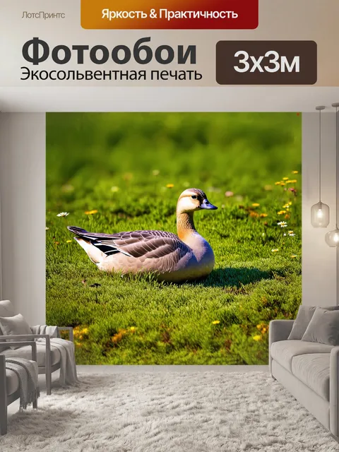 Фотообои золотистый мартин гусь в густом зеленом травяном покрытии