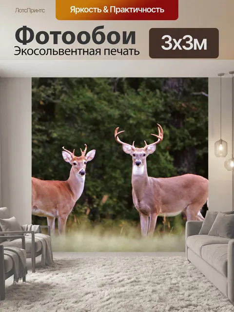 Фотообои Два белохвостого оленя