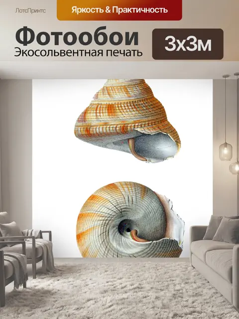 Фотообои Морская Ракушка Улитка Винтаж Морская