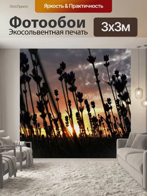 Фотообои Лаванда