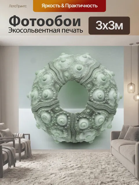 Фотообои Морские ежи