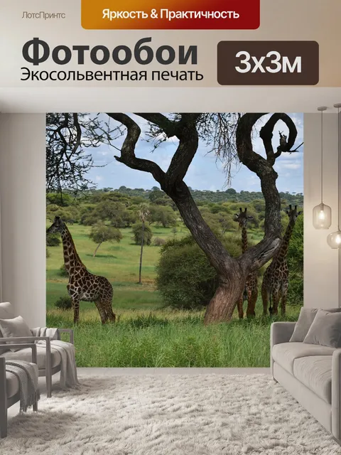 Фотообои Жирафы