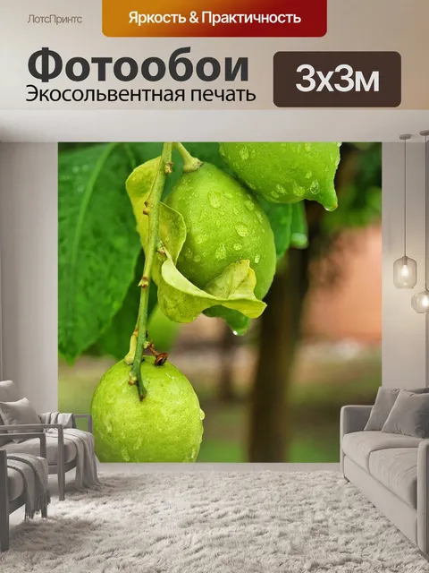 Фотообои Лимон