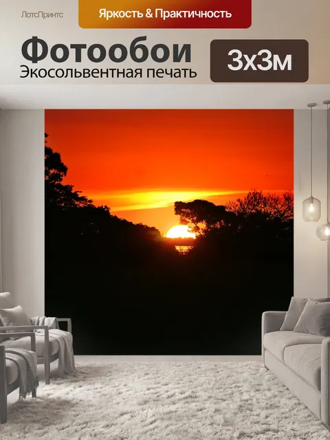 Фотообои Амазония