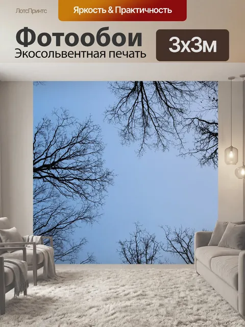 Фотообои Лес
