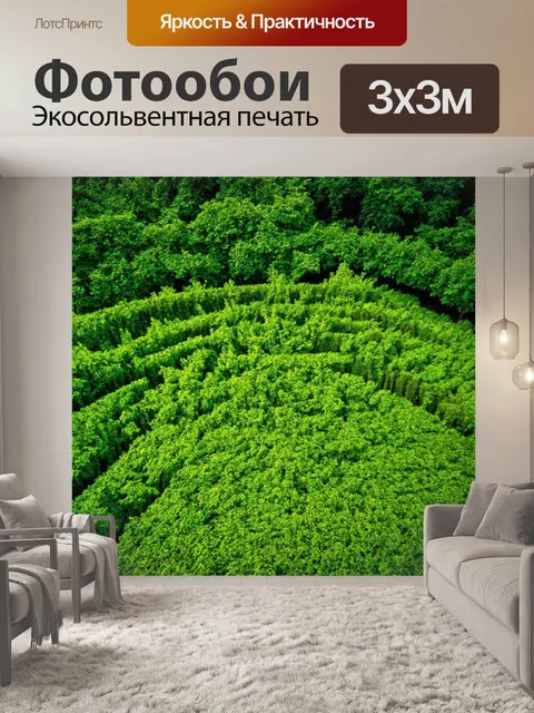 Фотообои летние кадры наместника природы, где растут обилие зелени и новых растений