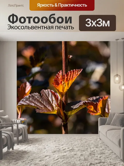 Фотообои Весна