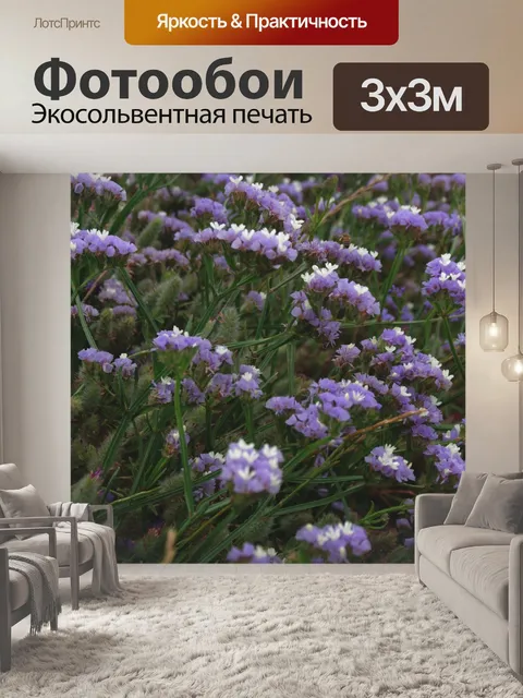 Фотообои Фиолетовый статица цветы фон