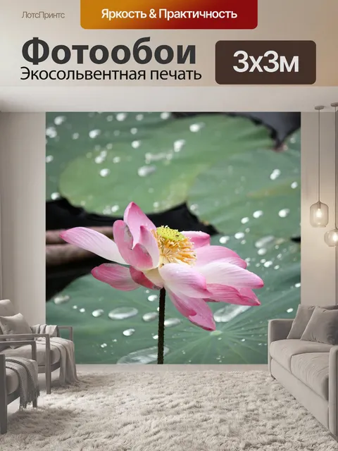 Фотообои выцветшие цветок лотоса в цвету