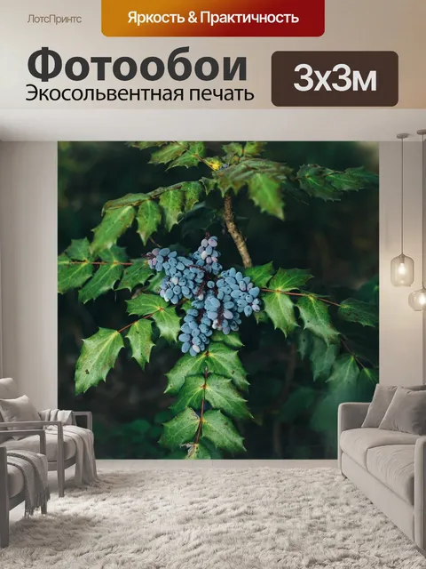Фотообои Ягода