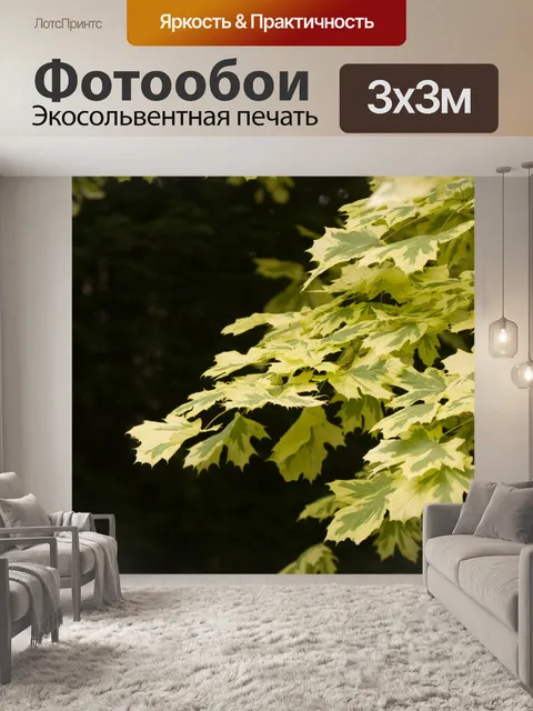 Фотообои Летние листья фона