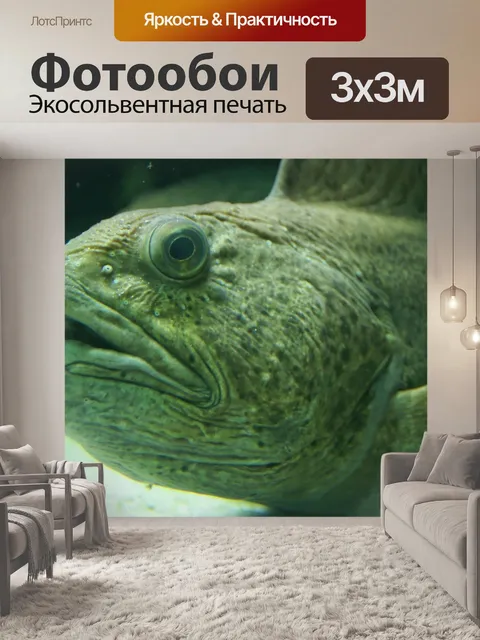 Фотообои Рыбы