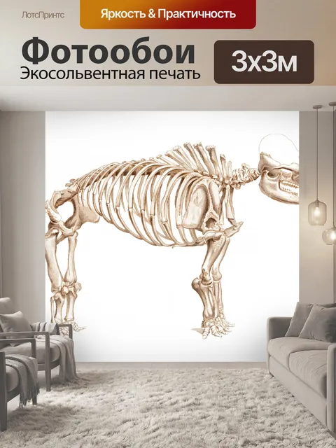 Фотообои Скелет динозавра Винтаж Искусство
