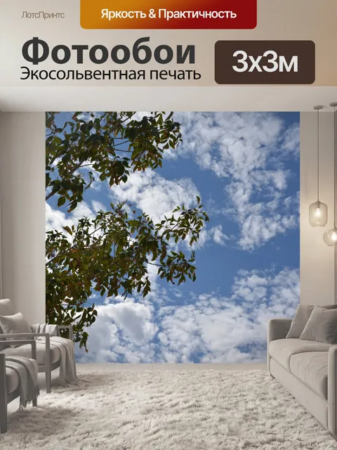 Фотообои Глядя вверх Облака Отрасли Листья