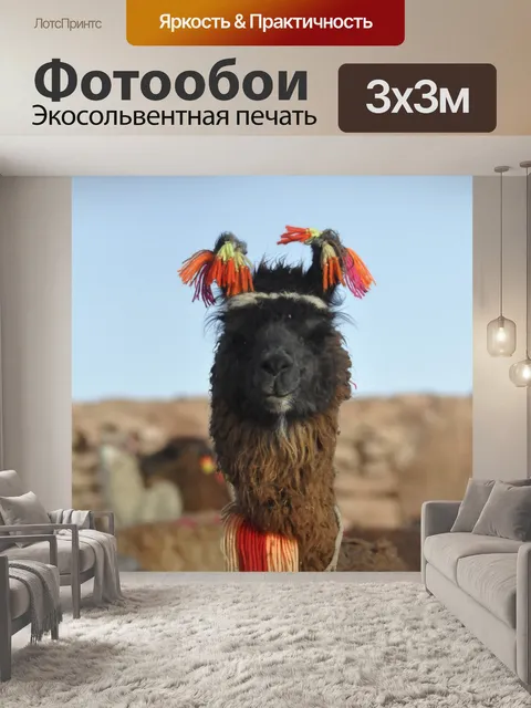 Фотообои Лама