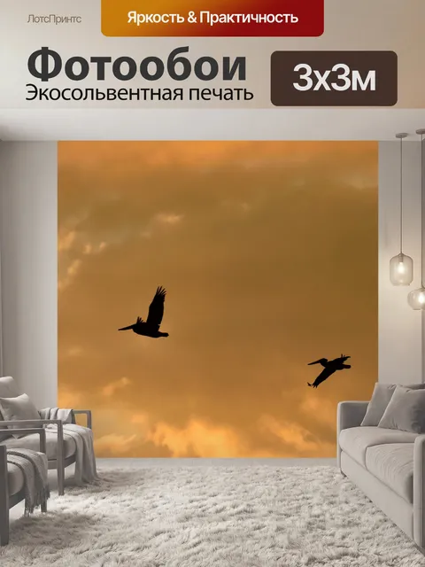 Фотообои Пеликаны пролетел над рекой