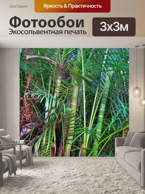 Фотообои зеленый бамбук