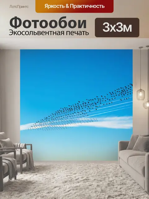 Фотообои осеннее небо с летающими гусиными стаями