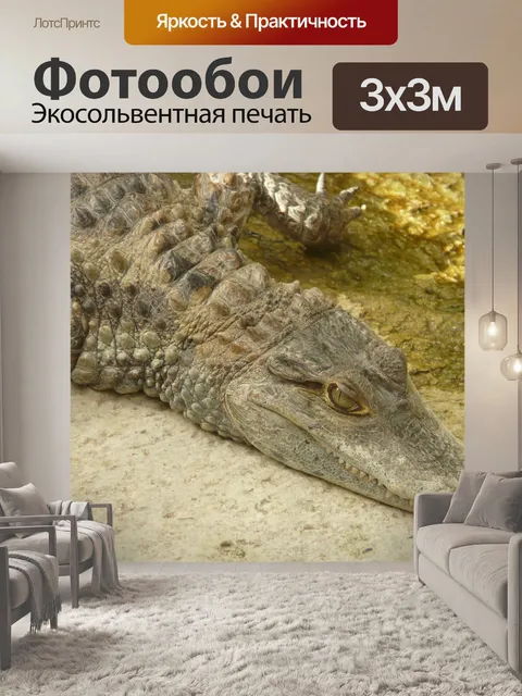 Фотообои Блестящий кайман