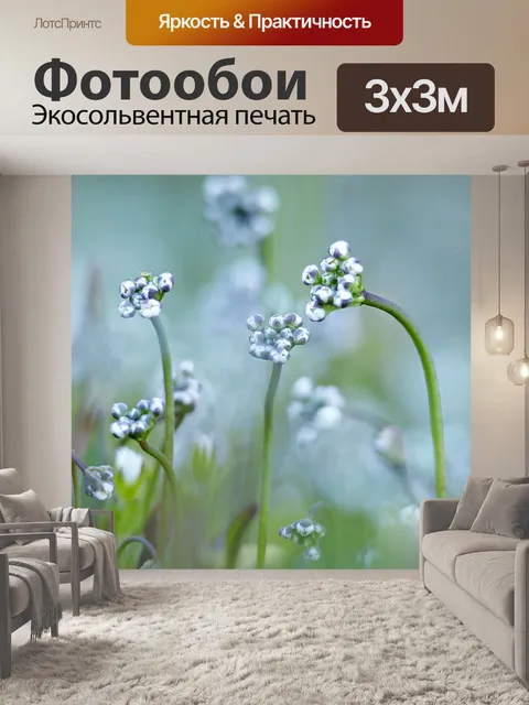 Фотообои Цветы