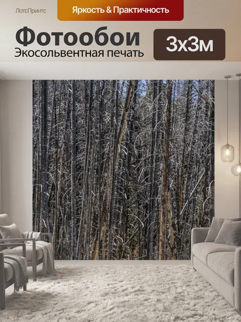 Фотообои Мертвый лес