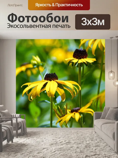Фотообои Черноглазые сьюзанс
