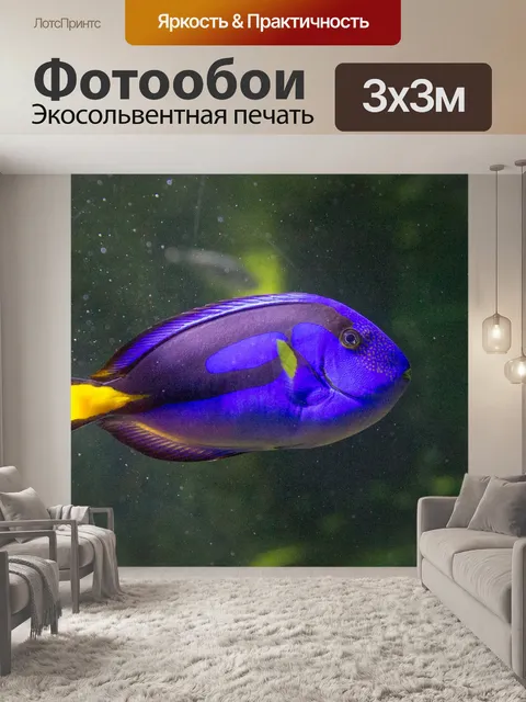 Фотообои синяя рыба