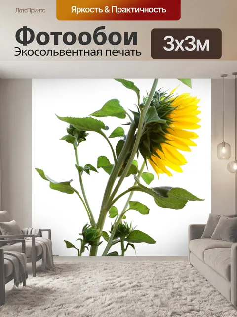 Фотообои Подсолнечное растение с цветком