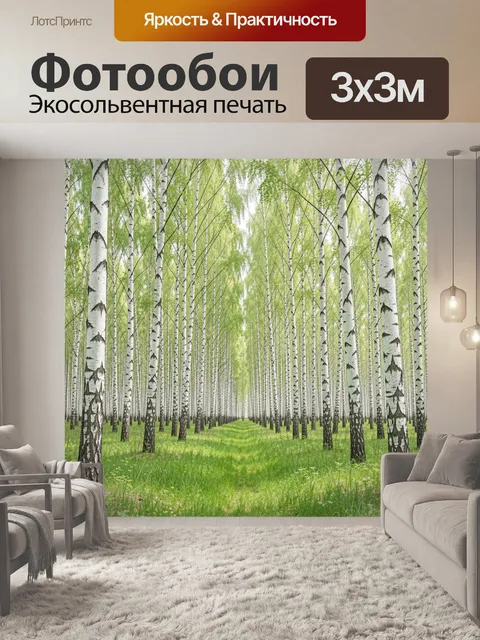 Фотообои Берёзовая роща с зелёным лугом