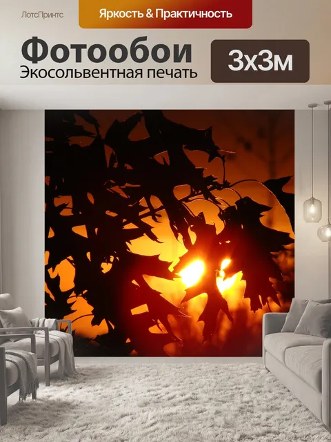 Фотообои Закат