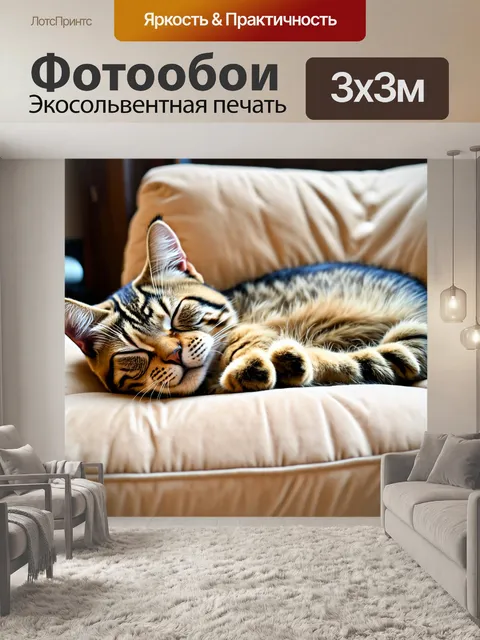 Фотообои спящий кот на мягком диване