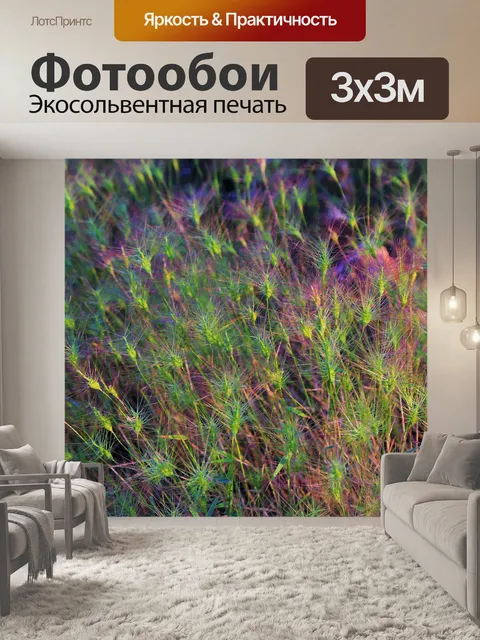 Фотообои Травы