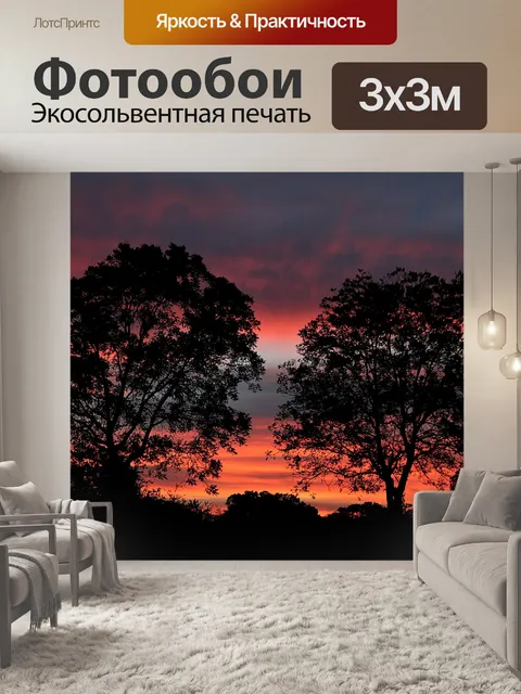 Фотообои Закат за двумя деревьями