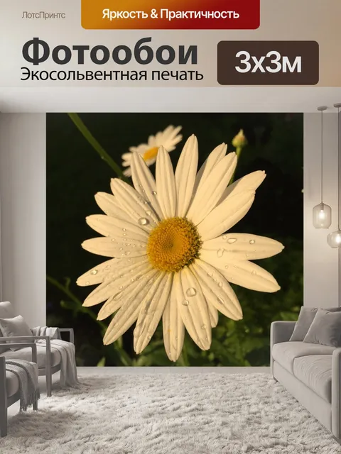 Фотообои Цветок