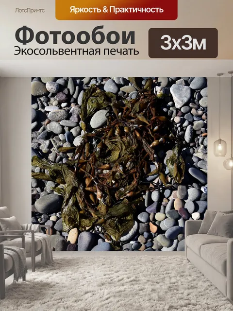Фотообои Морские водоросли и галька