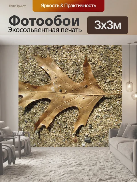 Фотообои Лист Макрос 16