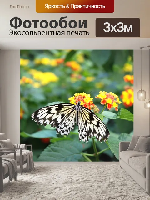 Фотообои Идея