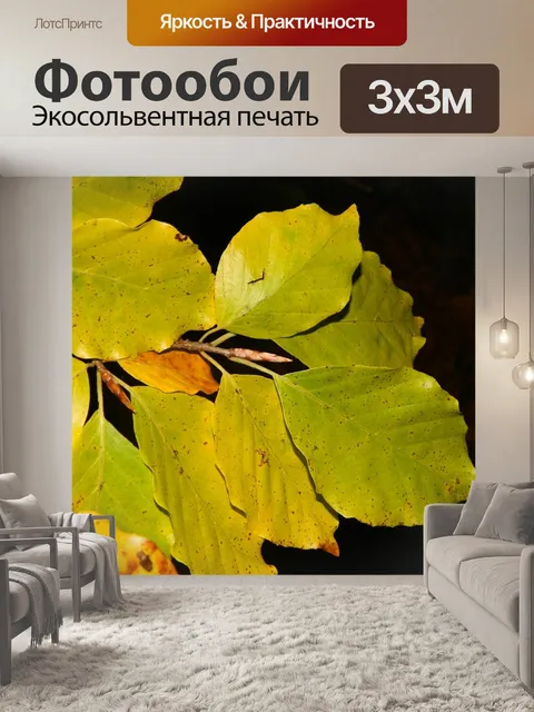 Фотообои Осень