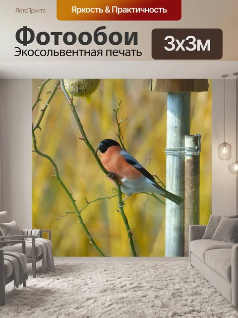 Фотообои Снегирь