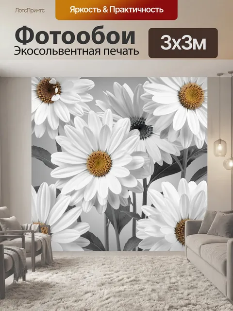 Фотообои Белые ромашки крупным планом