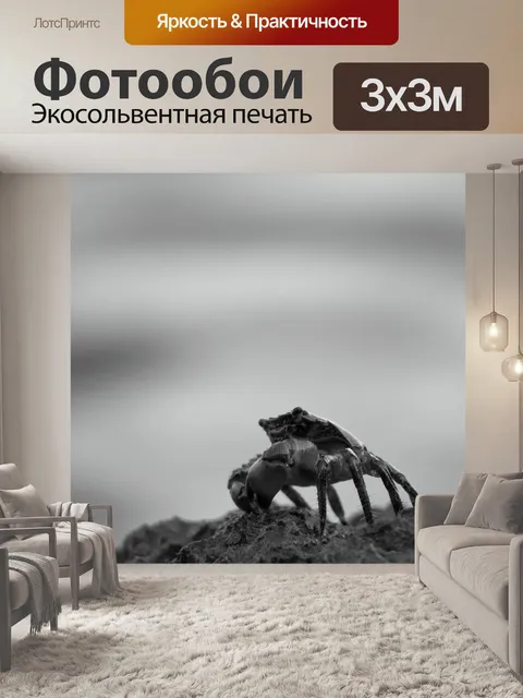 Фотообои Средиземное море
