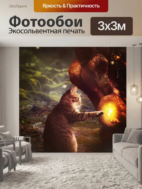 Фотообои Кот