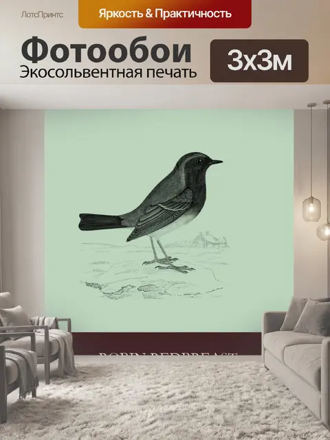Фотообои Робин Редбраст