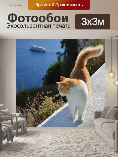 Фотообои Кошка