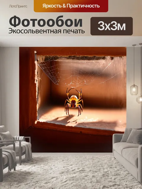 Фотообои маленький паук, уютно устроившийся в уголке старого деревянного окна, плетёт свою паутину в теплых солнечных…