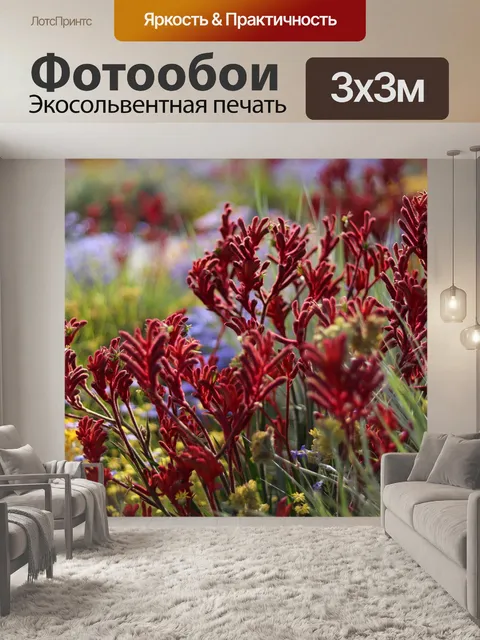 Фотообои Кенгуру лапа