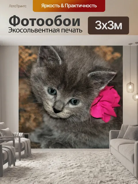 Фотообои Симпатичный серый котенок с розовым луко
