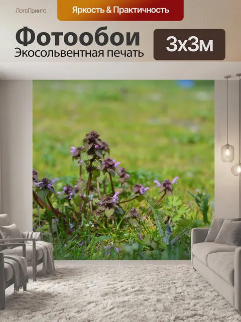 Фотообои Светло-розовый