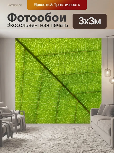 Фотообои Зеленый лист