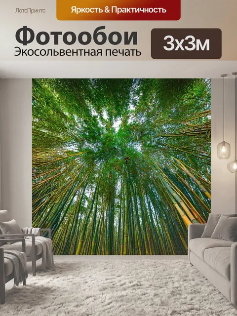 Фотообои с ветками бамбука, вытянувшимися к небу, в экзотическом лесу с яркими насекомыми